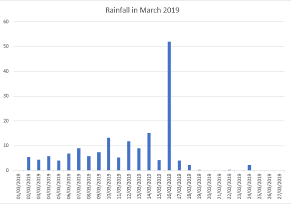 Rainfall in March 2019